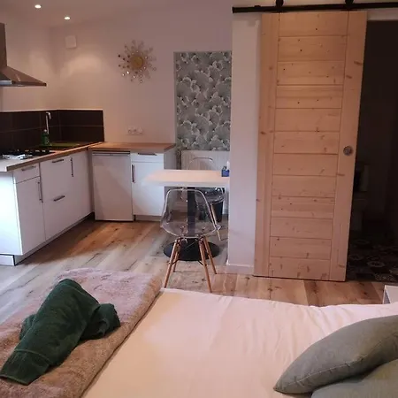 펜션 Neuf - Acces Spa, Sauna Et Piscine Chauffee Saint-Vivien (Charente-Maritime)