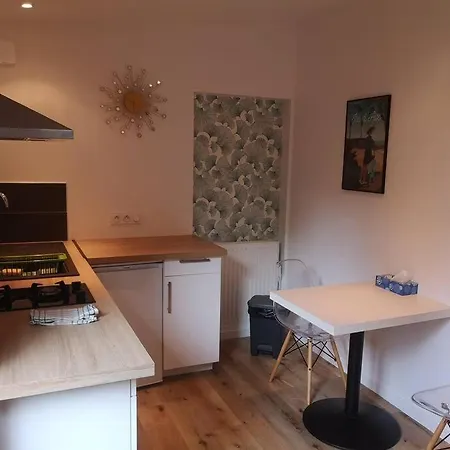 Neuf - Acces Spa, Sauna Et Piscine Chauffee A Partager Nyaraló
