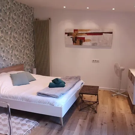 Neuf - Acces Spa, Sauna Et Piscine Chauffee Prázdninový dům *